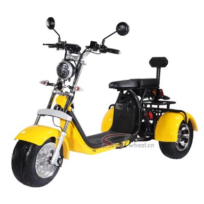 Triciclo elétrico 2000w - 16_Triciclo-eletrico-2000w_20250110125107.jpg