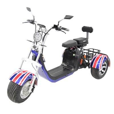 Triciclo elétrico 2000w - 16_Triciclo-eletrico-2000w_20250110125234.jpg