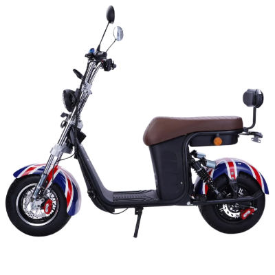 Foto:Scooter elétrica R-13 1000w - 3_Scooter-eletrica-R-13-1000w_20250109184145.jpg