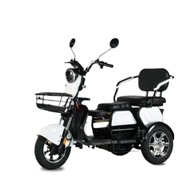 Triciclo BIG - 1000w - 94_Triciclo-BIG-1000w_20251211144628.jpg