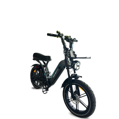 Bike Elétrica Q8 - 1000w - 96_Bike-Eletrica-Q8-1000w_20251211163701.jpg